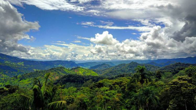 The Oriente (Amazon) of Ecuador