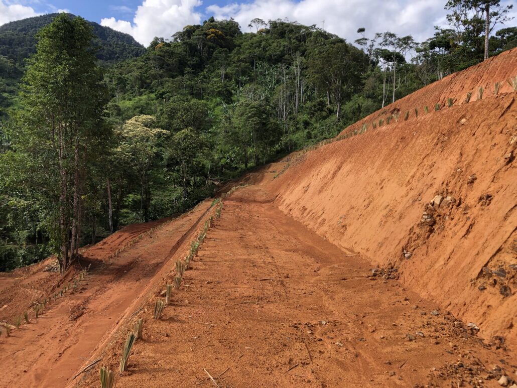 Terracing With Vetiver